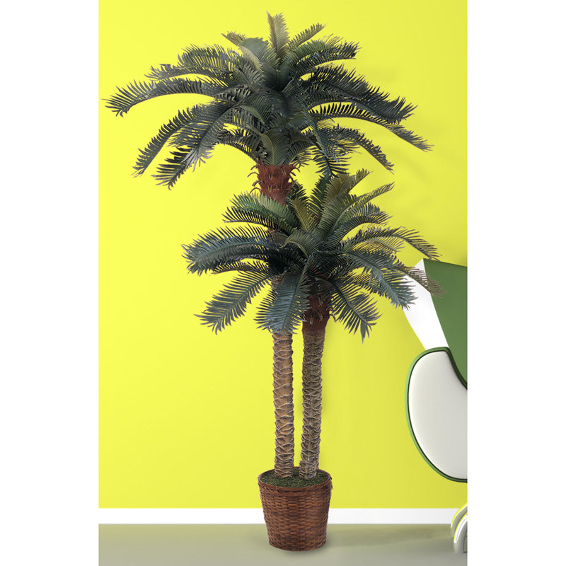 Beachcrest Home 62" Artificial Palm Tree in Basket & Reviews Wayfair.ca